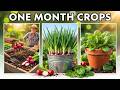 No More Waiting Months! 10 Fast-Growing Vegetables Ready in Under 30 Days