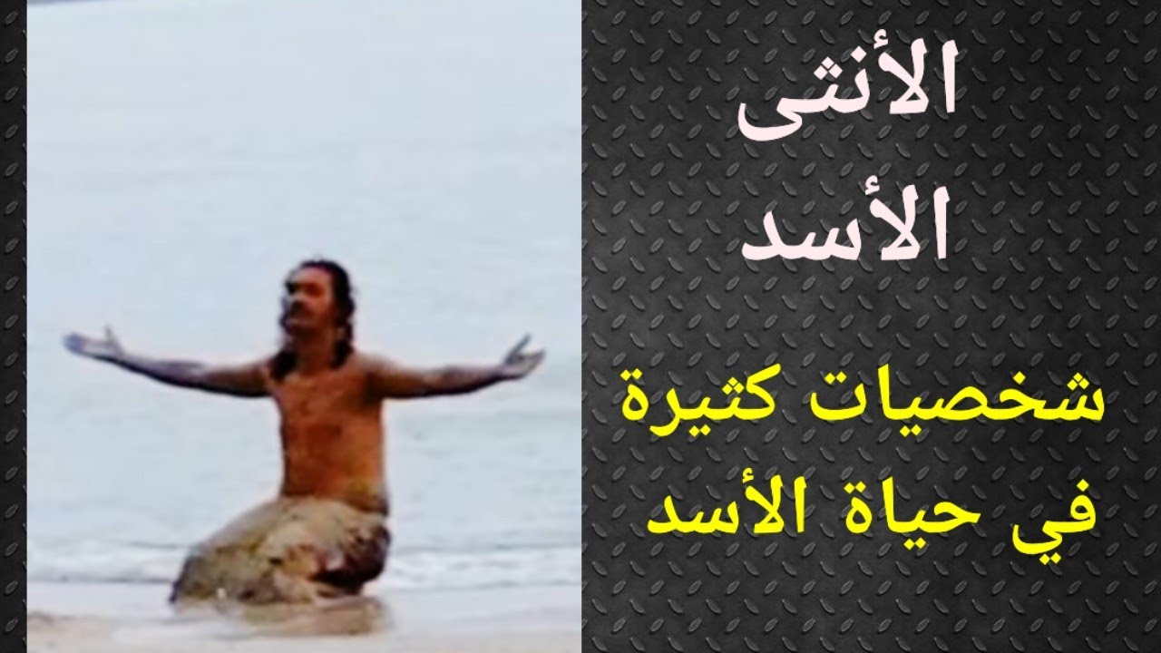 برج الأسد, تاروت الحب ، أنثى الأسد في مثلث برمودا