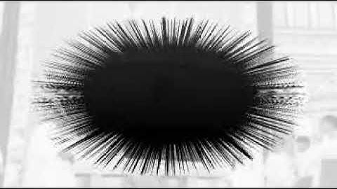 Tư liệu cha cố Đa Minh