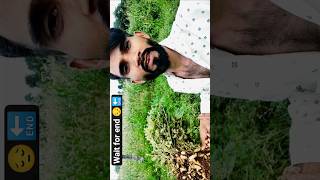 new blog mungfali🙏🙏#रितेशकिराडे​#newsong​#newadivasisong​#adivasisong​ #newsong2025​ #shorts