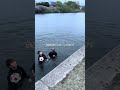 ボール落とした人がいたので拾ってあげる/川に落ちる#面白い #おもしろ