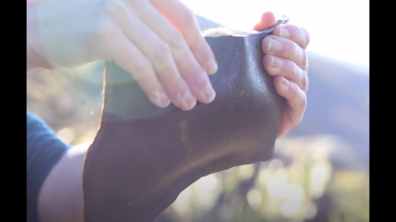 How to make a kelp amplifier | Emily Sheppard