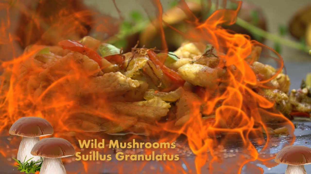 How To Clean & Cook Mushrooms Suillus Granulatus | 