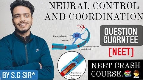 Neural control and coordination class 11 || Neuron by sg sir || Neet crash course #neet #sgsir