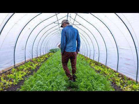 Another Market Gardener Critiques My Farm