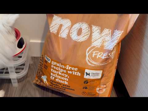 Now Fresh Senior Dog Food Review: Turkey, Salmon & Duck Feast