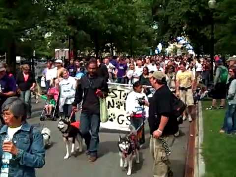 MSPCA-Angell Walk for Animals 2010 - Boston