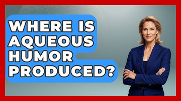 Where Is Aqueous Humor Produced? - Optometry Knowledge Base