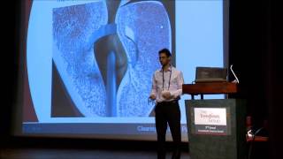 ProArc Medical Presentation