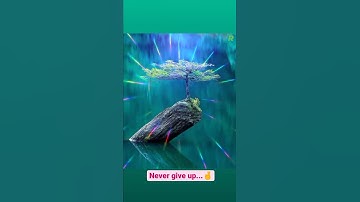 Never give up...🤞