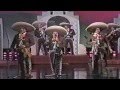 Ritmo de Mariachis (Popurrí) Univision Classic-- PLN (Rose Music Video)