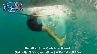 Top Most Popular Goliath Grouper Fishing Video - Largest Goliath Grouper Ever on Paddleboard