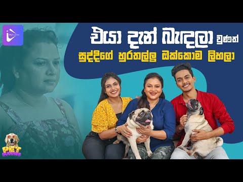 එයා දැන් බැඳලා වුණත්, සුද්දිගේ සුරතල්ලු ඔක්කොම ලිහලා... l Pet Buddies with Semini Iddamalgoda | 2023