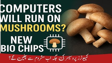 Computers Will Run on Mushrooms? 🍄 | The Future of Bio Chips Explained!”
