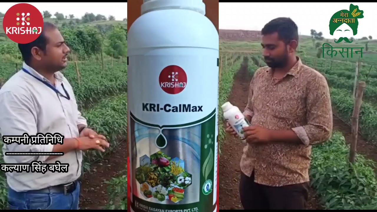 Ad- kri cal Max krishi rasayan liquid calcium micronutrient वि- क्रिकेल ...
