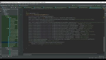 QA Mini project(NxtWave)