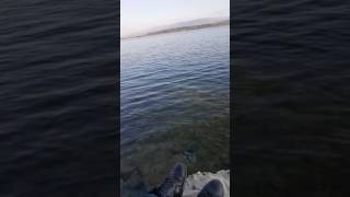 Şimdi Geldi Ağlamanın Zamanı Sapanca Resimi