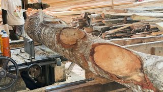 Superb Wood Technology Monster Sawmill at Work