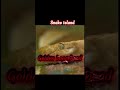 snake island