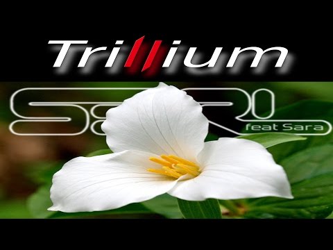 Video: Šíří se trillium?