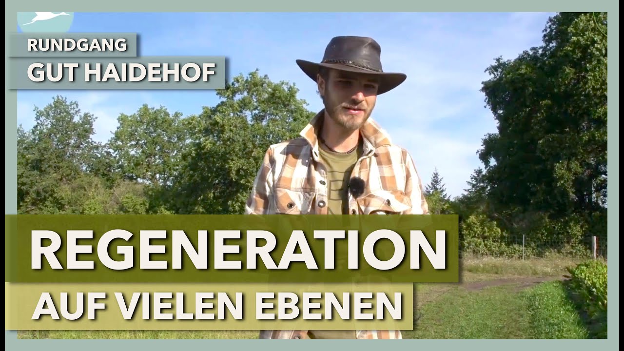 Regenerative Landwirtschaft auf vielen Ebenen | Gut Haidehof | Rundgang 3