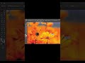 How to adjust a picture in a text#B logo# give