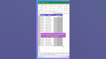 Mettre en forme un numéro de téléphone sur Excel