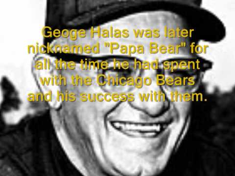 halas george google search pioneers owners