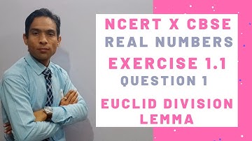 Real Numbers Exercise 1.1 Question 1 | NCERT X CBSE | Euclid Division Algorithm | Bist Sir