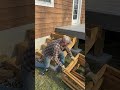 DIY Wooden Staircase #diybuild #woodworking