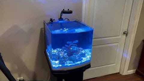 Rimless Biocube (Converting a Biocube to rimless)