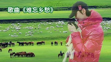 【阿云嘎/Ayanga】 歌曲《难忘乡愁》  《Nostalgia for Home》 20240123 #阿云嘎