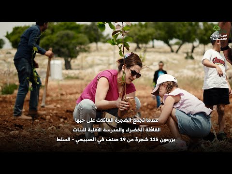 عندما تجمع الأشجار العائلات على حبها