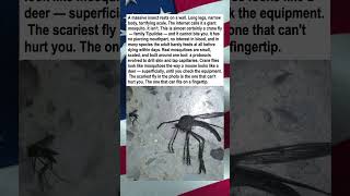 The "Giant Mosquito" Is Lying To You