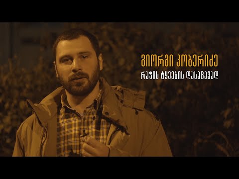 გიორგი კობერიძე რაჭის ტყეების დასაცავად