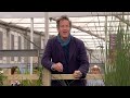 Rhs chelsea flower show 2024  episode 9