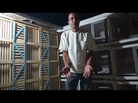 اخطر مشكله في الغيه بسبب مشاكل كثيره كفيله تبوظ الغيه حسين الخطيب 