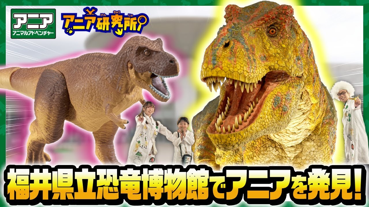 Ania Research Institute Travel Edition!] 50 complete dinosaur
