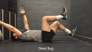 Resilient Performance - Dead Bug Profile