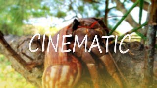 Oppo A37 Cinematic video test