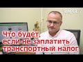 Что будет, если не заплатить транспортный налог