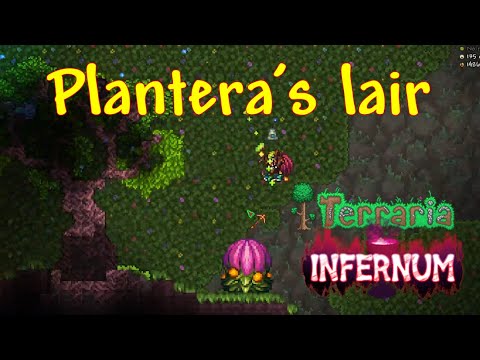 I Found Plantera's Lair! [CALAMITY INFERNUM] EP20