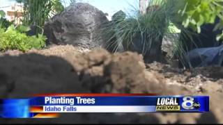 Idaho Falls power donated more than 70 plants/flowers and 20 trees to the event.