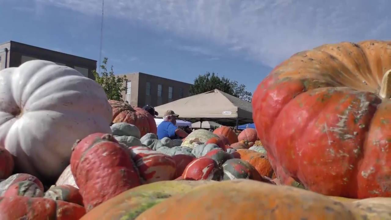 Punkin Day in Floydada YouTube