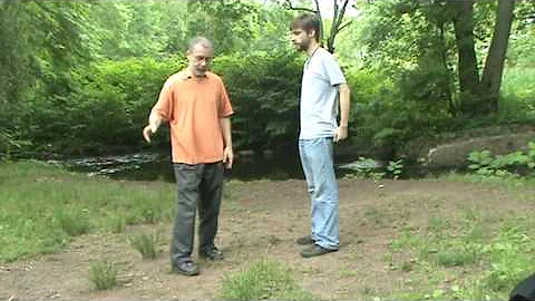 yang style vs wu style tai chi cloud hands martial techniques