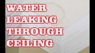Famous WATER LEAKING THROUGH CEILING (BATHROOM) Net Worth