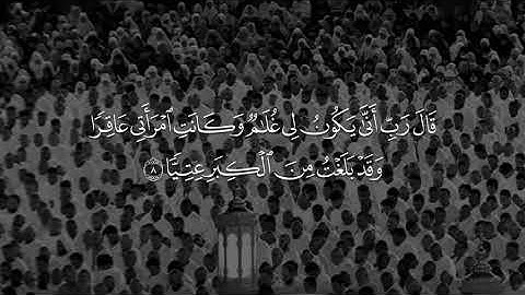 القارئ بندر بن بليله  بداية سورة مريم   #اكسبلور #yasseraldossary #علي_جابر #قرآن #fyp 