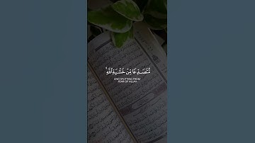 سعد الغامدي سورة الحشر Saad Al Ghamidi Surah Al Hashr