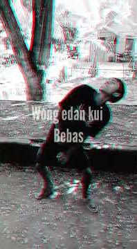 story wa ambyar (Wong Edan kui bebas)😂