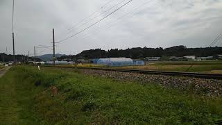 列車番号4060　EF510-5　羽越本線（村上～岩船町）30P